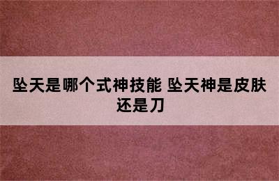 坠天是哪个式神技能 坠天神是皮肤还是刀